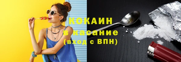 стаф Баксан