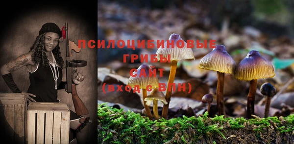 стаф Баксан
