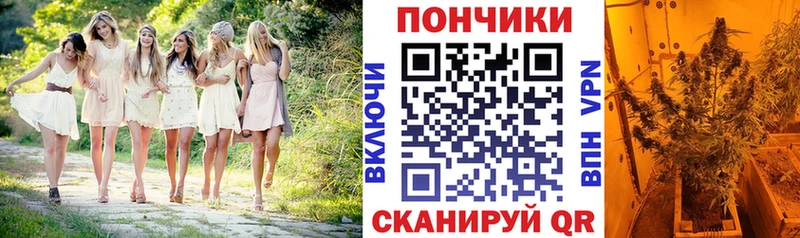 Шишки марихуана марихуана  как найти   Армянск 
